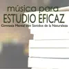 Estudio Hermoso - Música para Estudio Eficaz - Gimnasia Mental o Cerebral con Sonidos de la Naturaleza y Canciones Relajantes